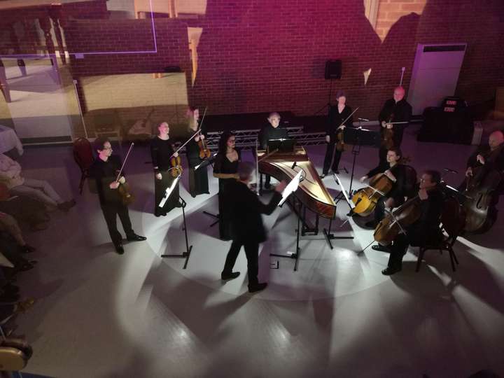 The Orchestra of the Swan